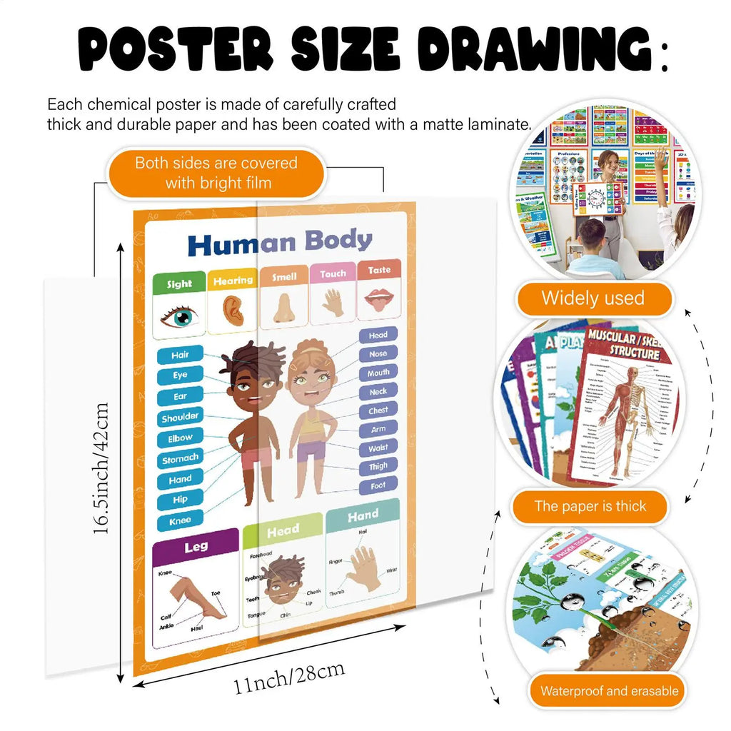 Learning Posters 20 Pieces