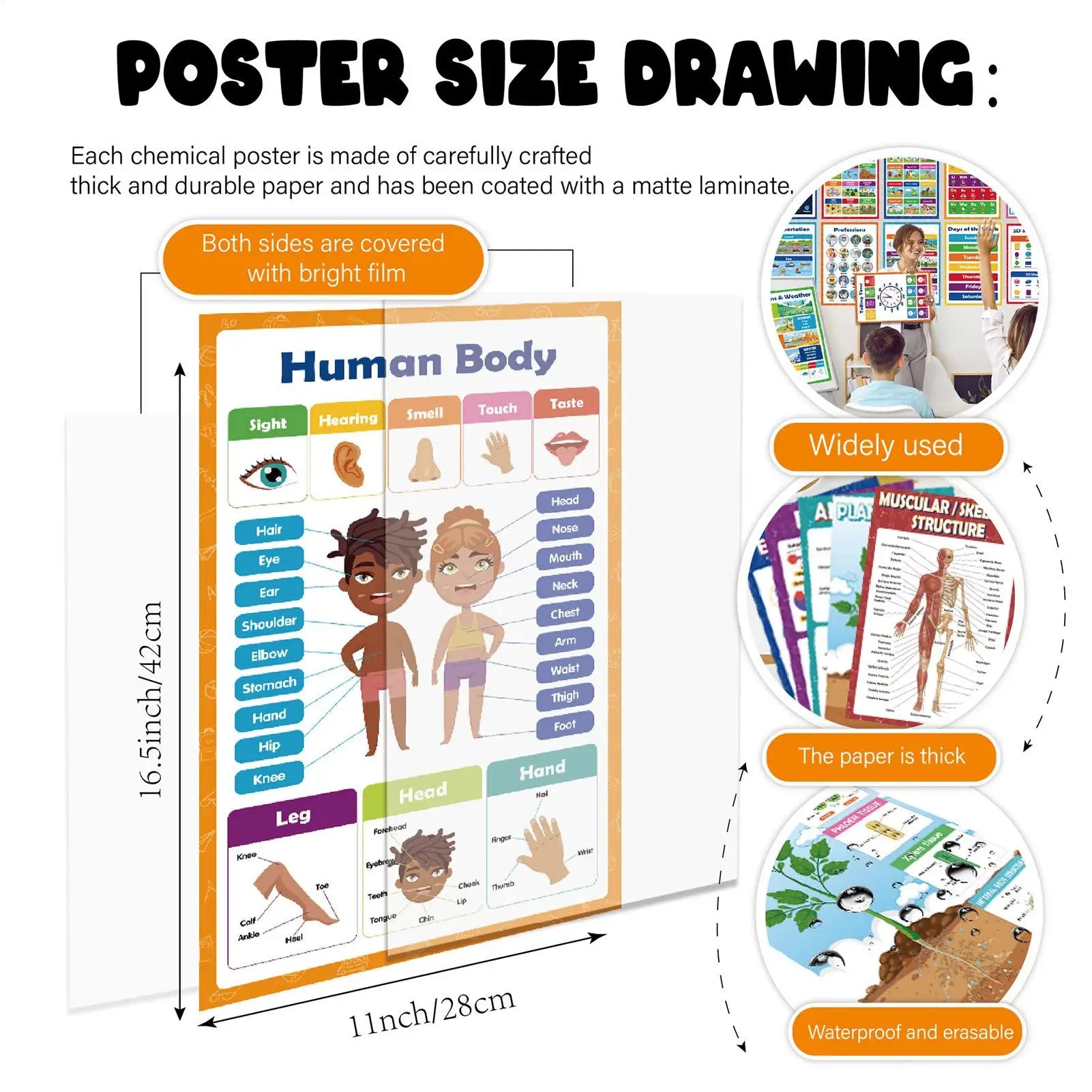 Learning Posters 20 Pieces