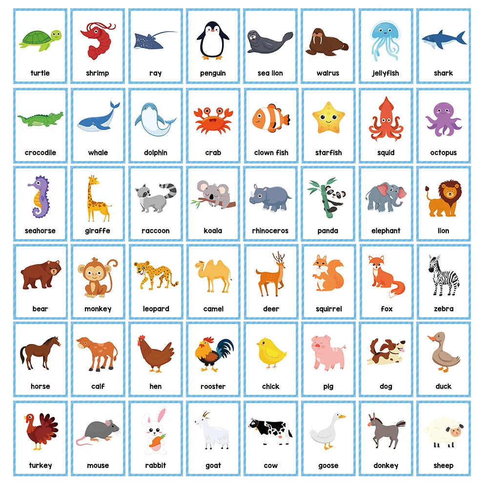 Montessori Kids English Words Cards
