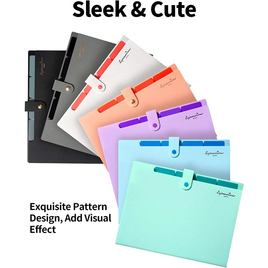 Expanding File Folder with 5 Pocket Folders