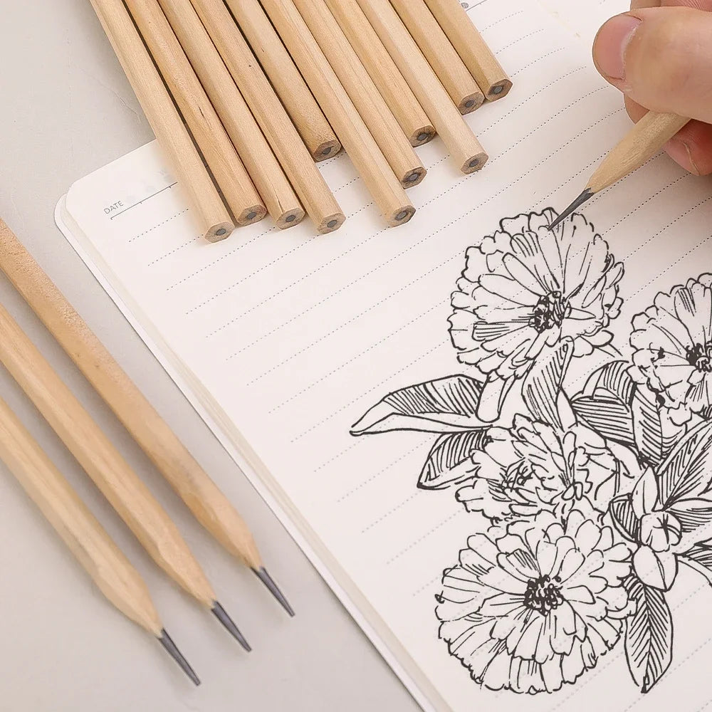 HB Natural Hexagon Wooden Lead Pencils
