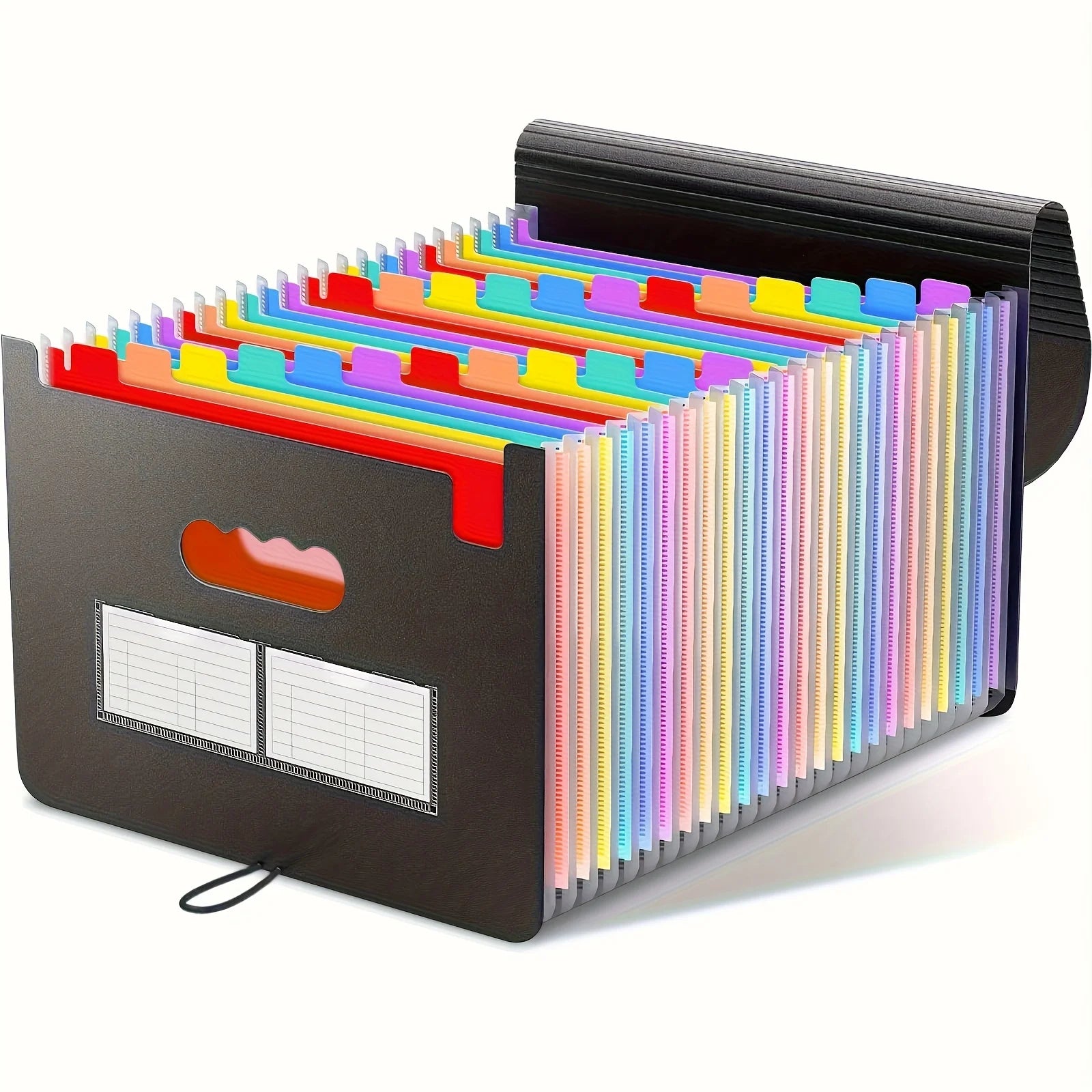 Plastic Accordion Folder Storage Bag