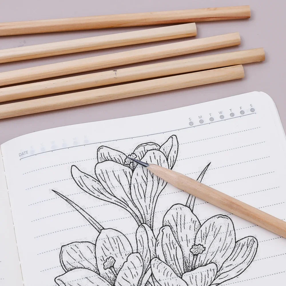 HB Natural Hexagon Wooden Lead Pencils