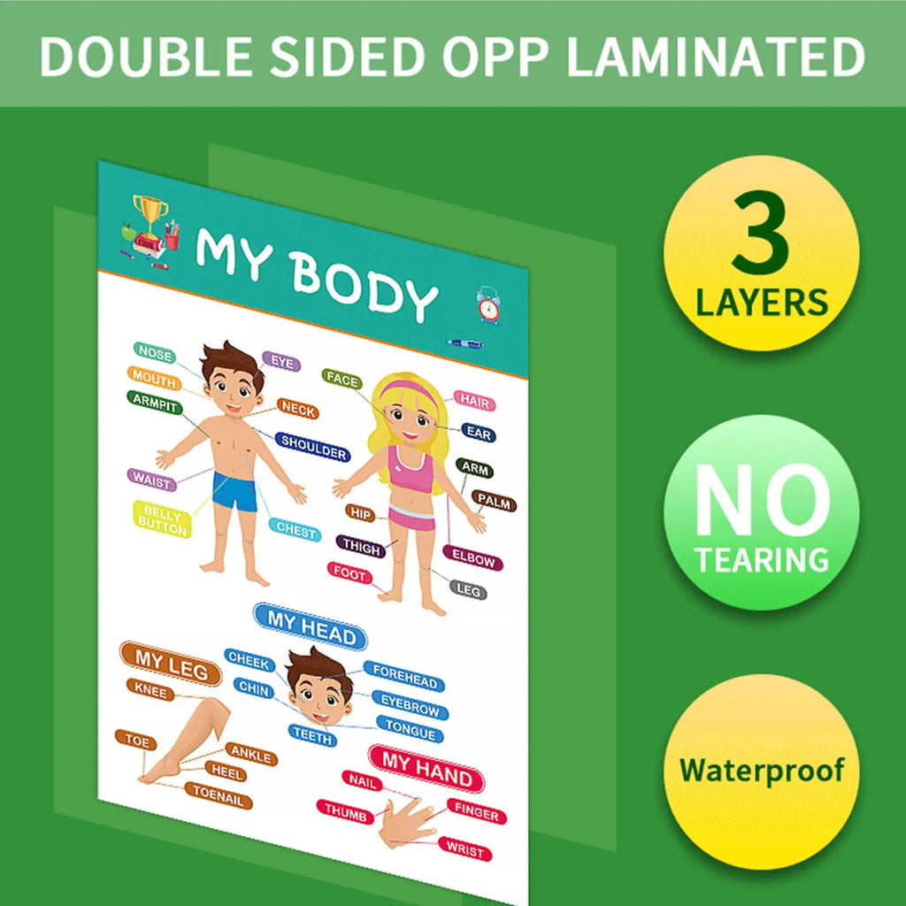 Preschool Learning Posters