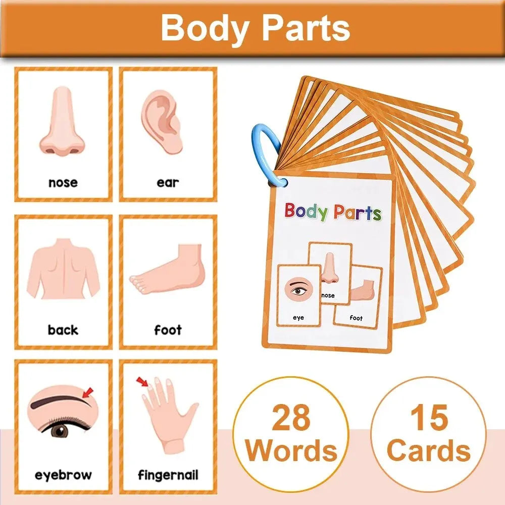 Montessori Kids English Words Cards