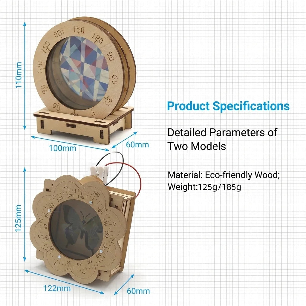 STEM Polarization Principal DIY Science Experiment