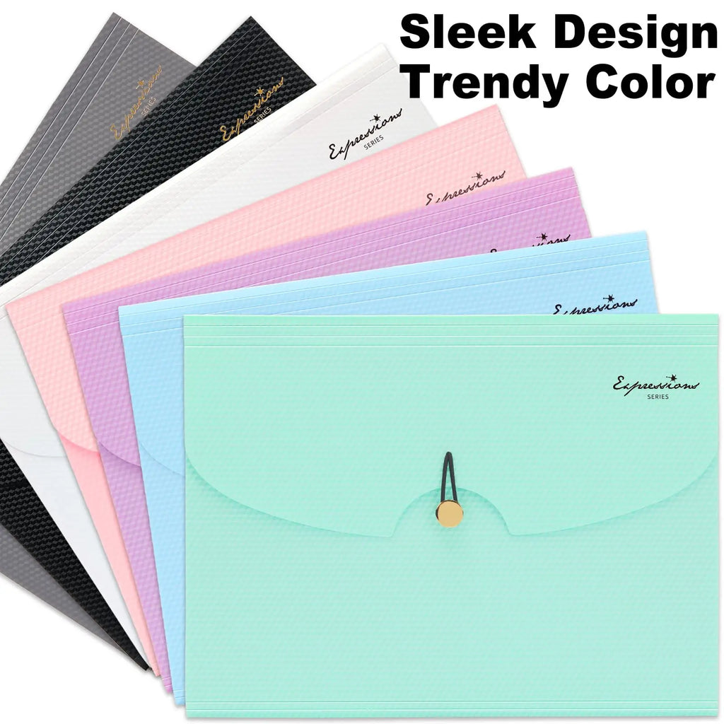 A4 Size Accordion File Organizer