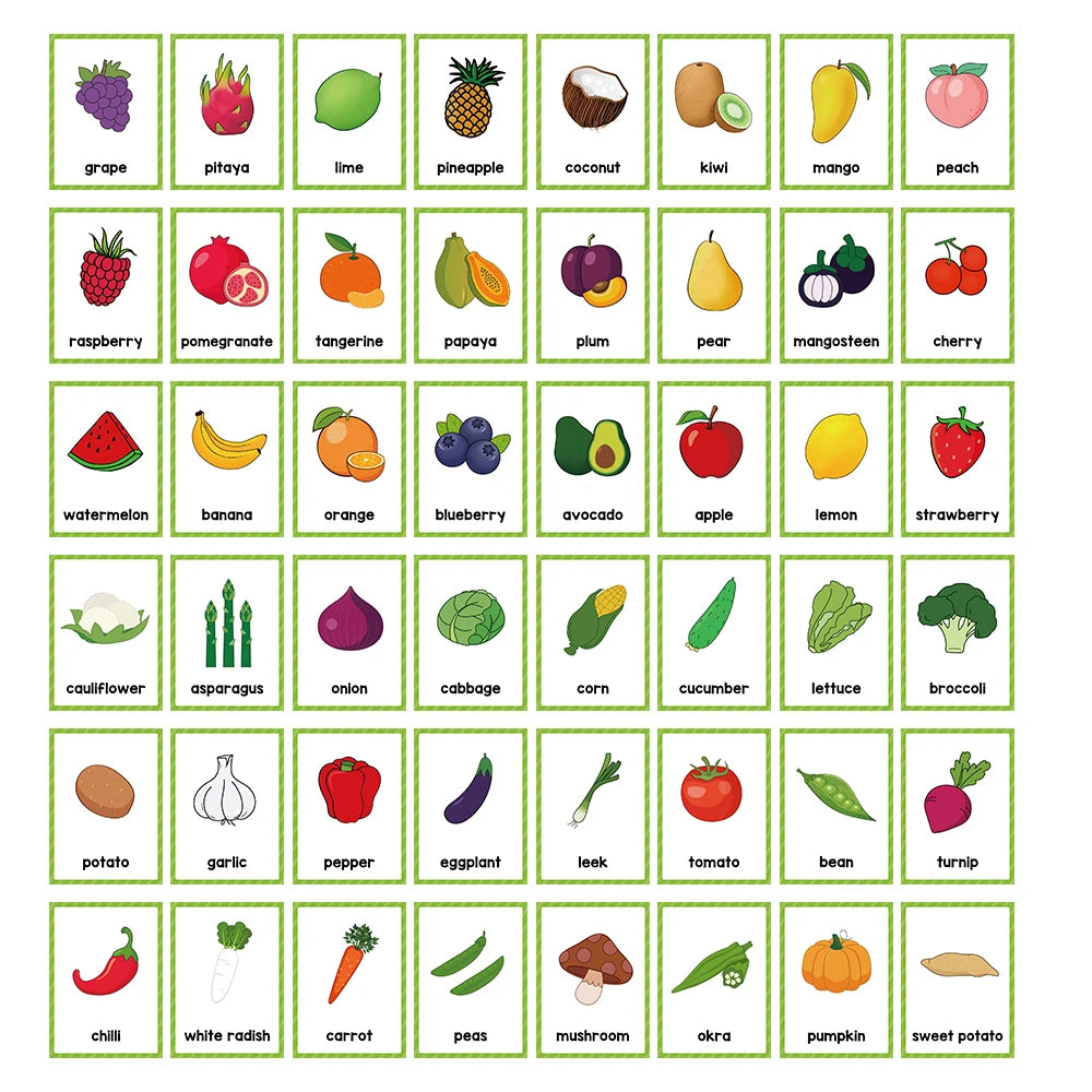 Montessori Kids English Words Cards