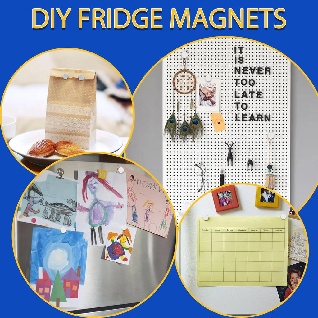 300Pcs Rotundity Magnets
