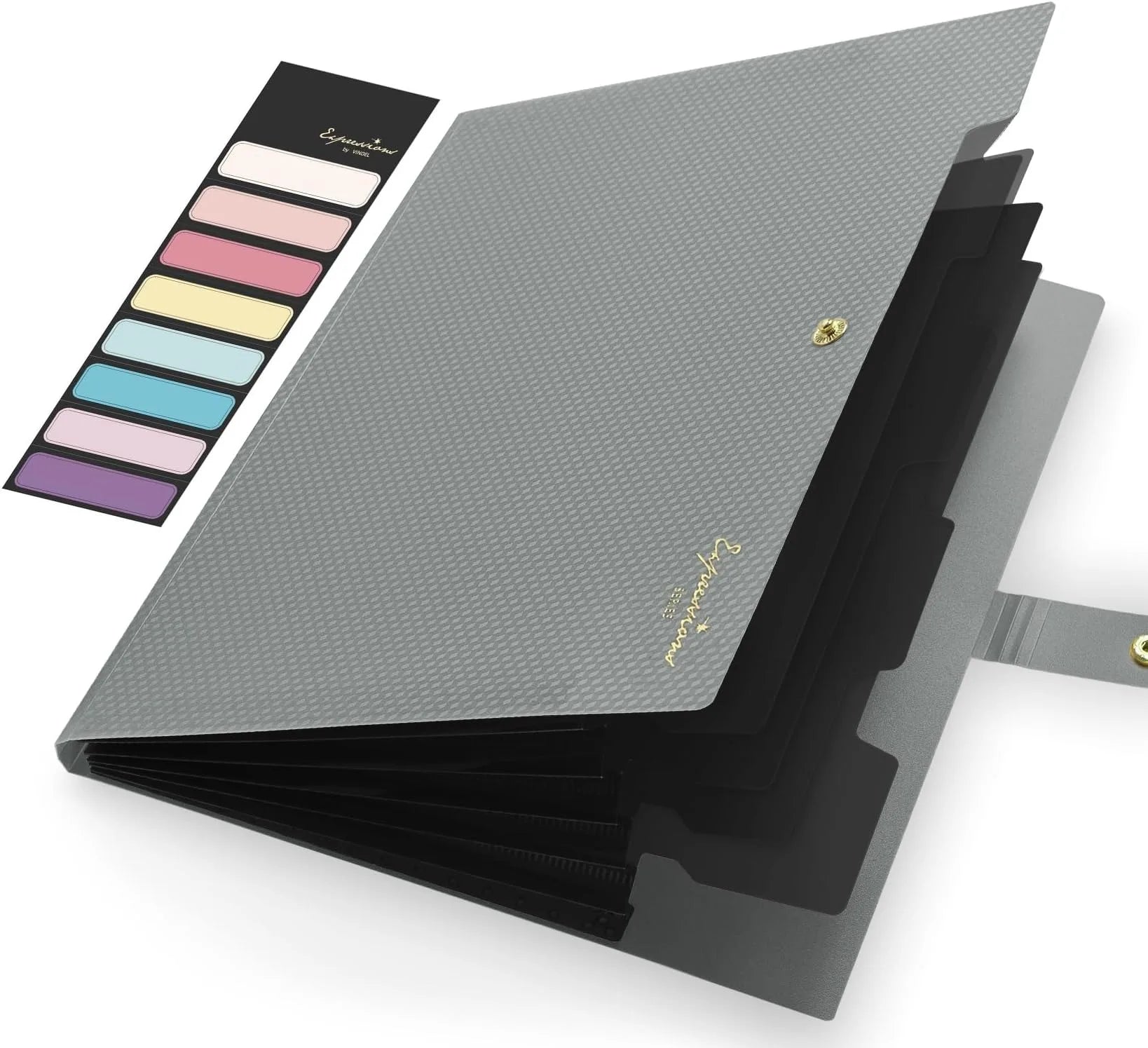 Expanding File Folder with 5 Pocket Folders