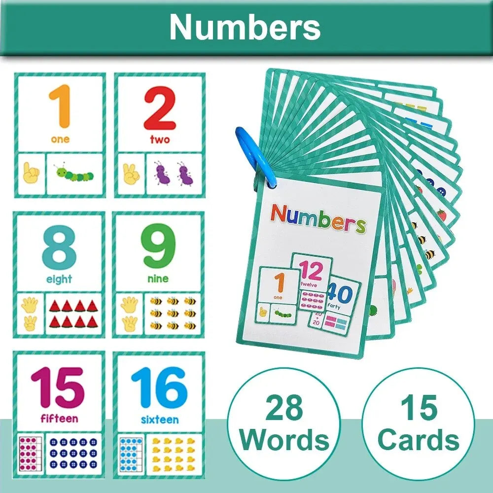 Montessori Kids English Words Cards