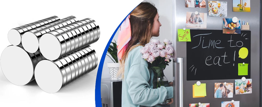 300Pcs Rotundity Magnets