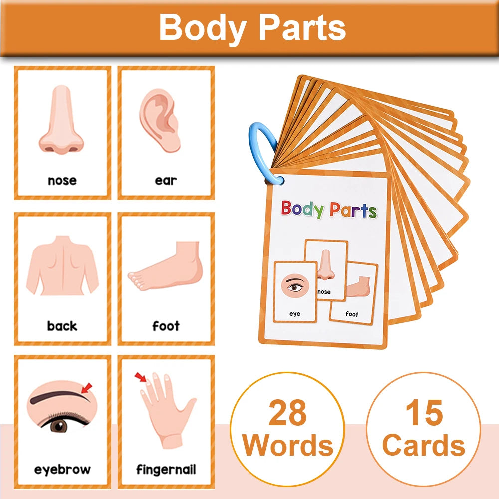 Montessori Kids English Words Cards