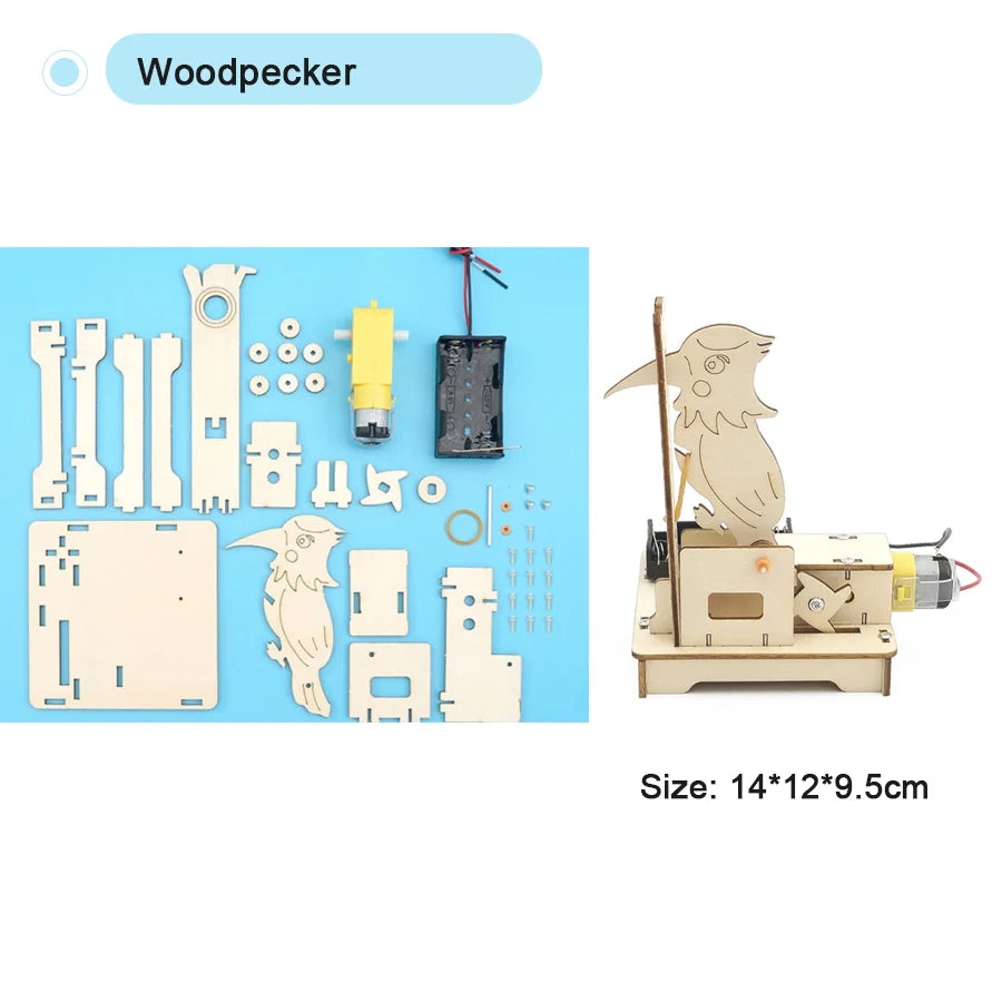 DIY Science STEM Kit