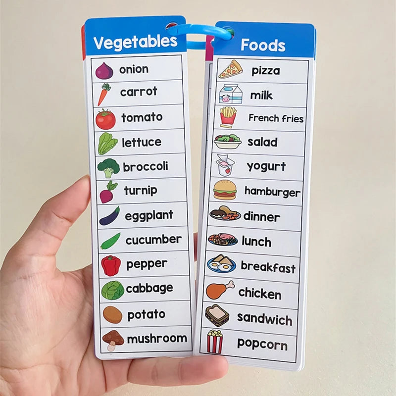 Kindergarten Primary School English Vocabulary