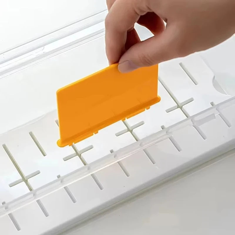 Clear Plastic Compartmentalized Organizer Box