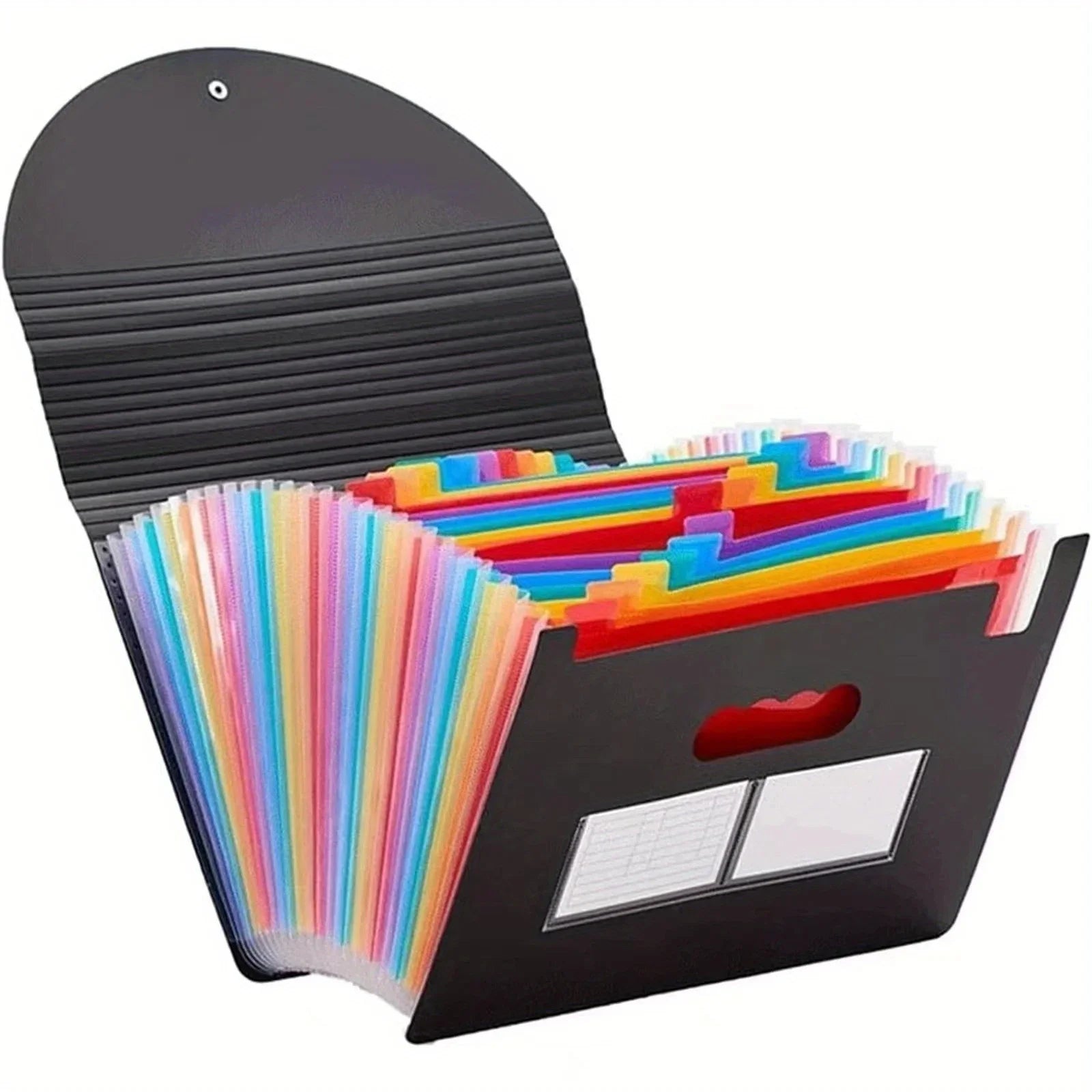 Plastic Accordion Folder Storage Bag