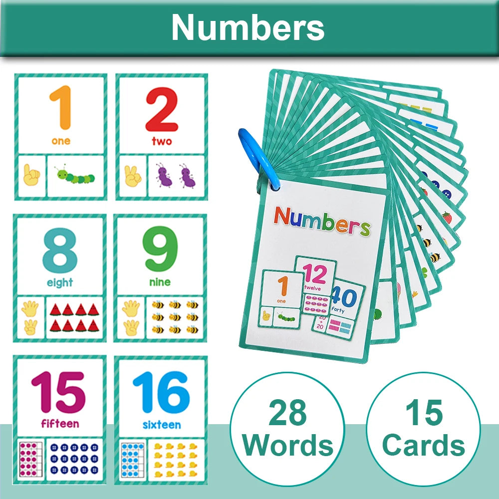 Montessori Kids English Words Cards