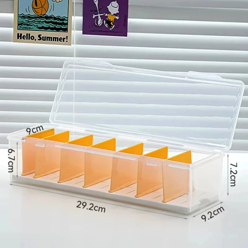 Clear Plastic Compartmentalized Organizer Box